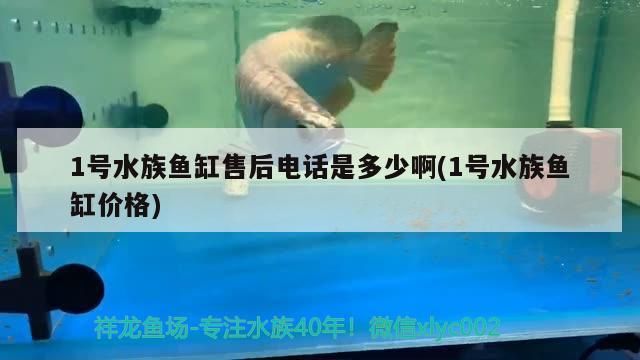 1號(hào)水族魚缸售后電話是多少啊(1號(hào)水族魚缸價(jià)格)（1號(hào)水族魚缸售后電話）