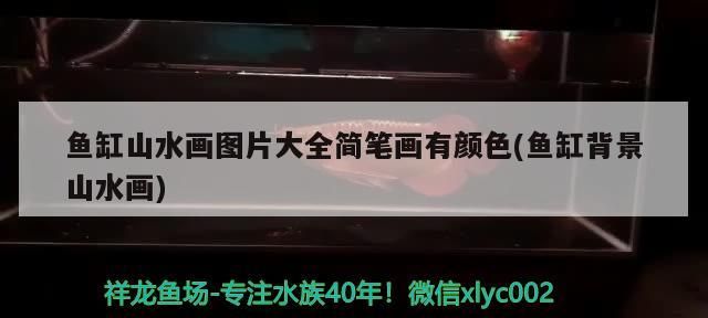 眉山魚缸訂做（眉山魚缸訂做廠家）