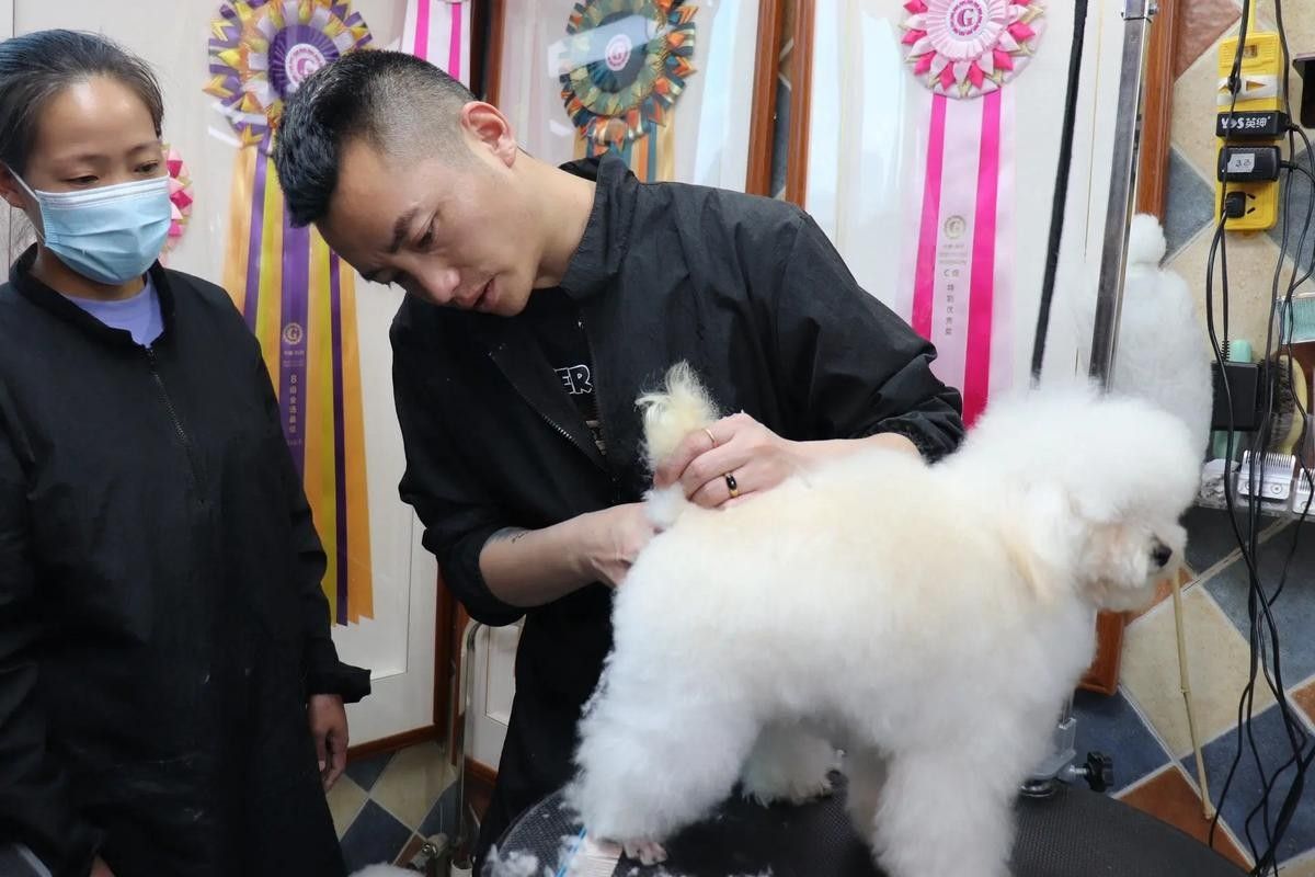 昆明有哪些知名的龍魚美容店？（昆明哪里有龍魚美容師）