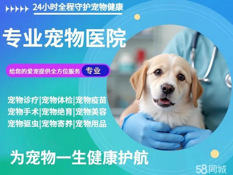 昆明有哪些知名的龍魚美容店？（昆明哪里有龍魚美容師）