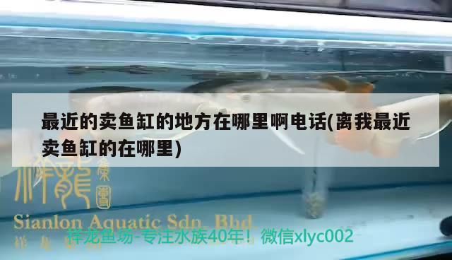 最近的賣魚缸的地方在哪里啊電話(離我最近賣魚缸的在哪里)