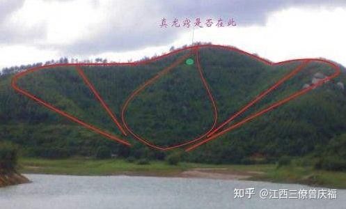 還有其他版本的騎龍口訣嗎 還有其他版本的騎龍口訣嗎 龍魚百科 第3張