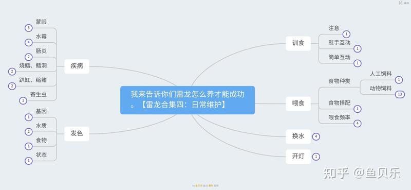 雷龍魚如何進行互動訓練（【雷龍怎么訓練互動訓練互動訓練攻略）