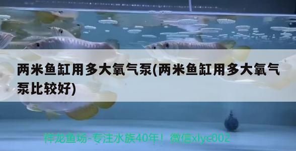 兩米魚缸用多大氧氣泵(兩米魚缸用多大氧氣泵比較好)
