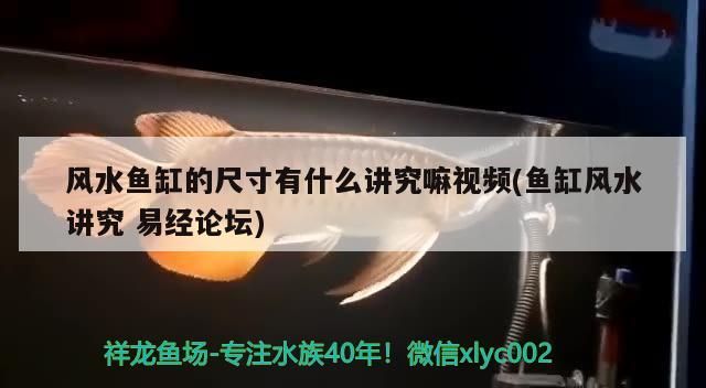 長春哪有做魚缸的地方啊電話（長春哪有做魚缸的地方啊電話號碼多少）