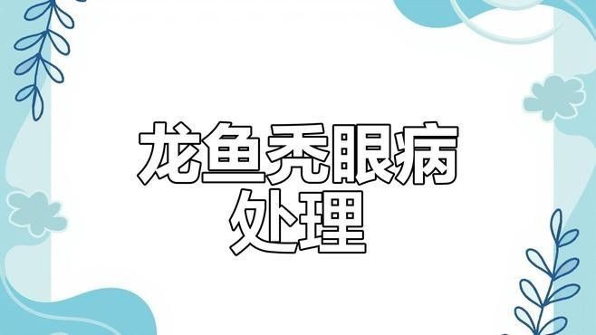龍魚(yú)眼睛突出會(huì)自愈嗎
