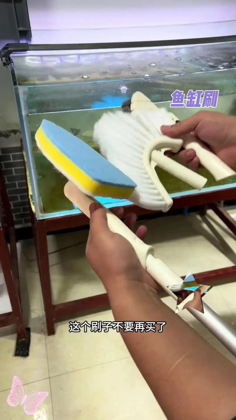 南屏山龍魚的最佳刷取方法