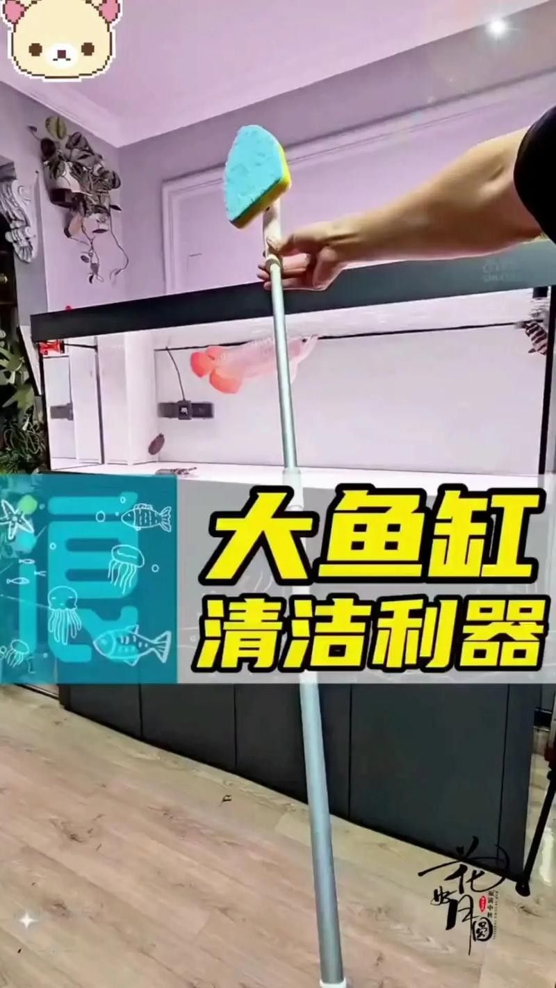 南屏山龍魚的最佳刷取方法