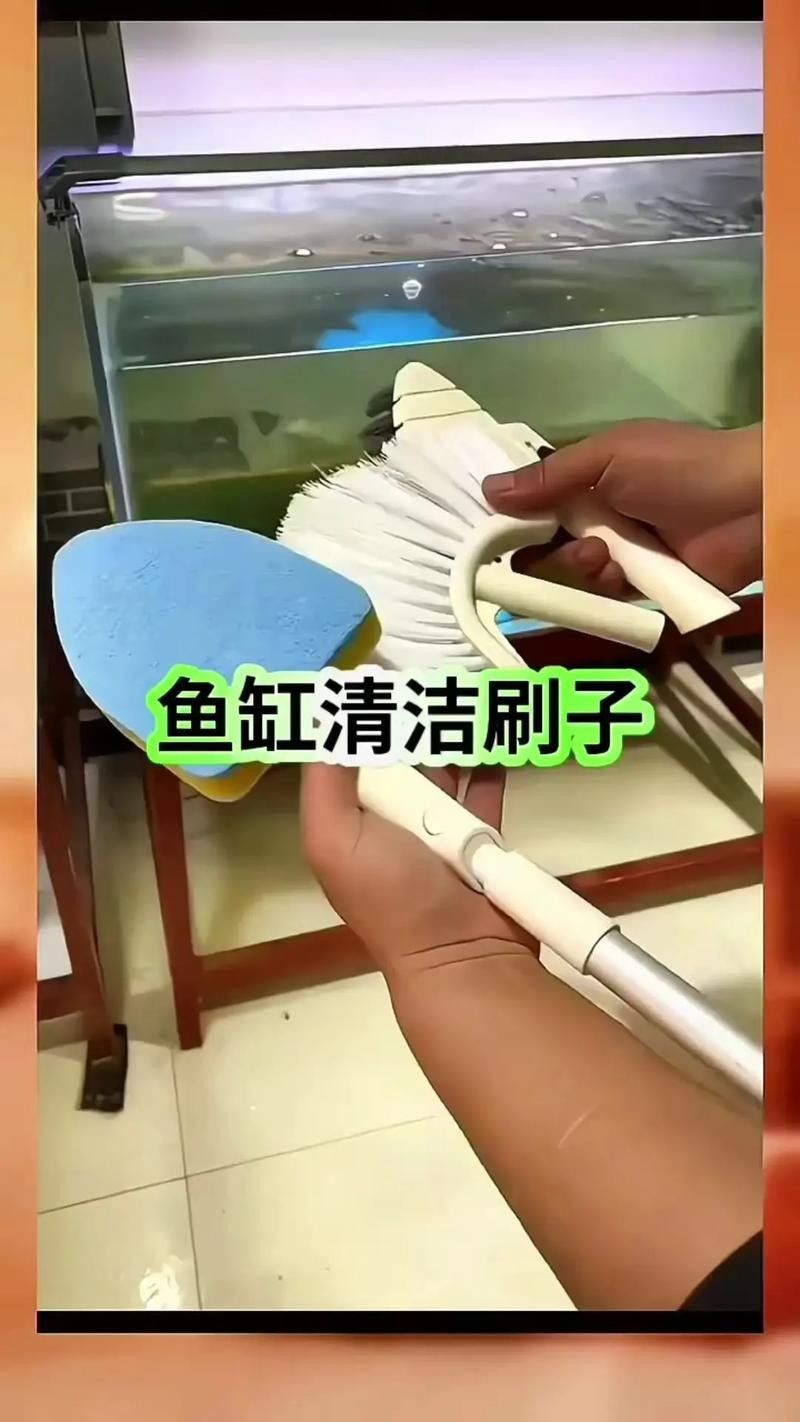 南屏山龍魚的最佳刷取方法