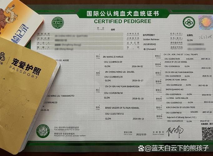 詳細閱讀:如何判斷金龍魚血統純度(判斷金龍魚血統純度的方法主要涉及以下幾個方面) 如何判斷金龍魚血統純度(判斷金龍魚血統純度的方法主要涉及以下幾個方面)