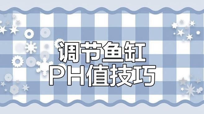 如何穩(wěn)定紅龍魚缸中的pH值 如何穩(wěn)定紅龍魚缸中的pH值 龍魚百科 第9張