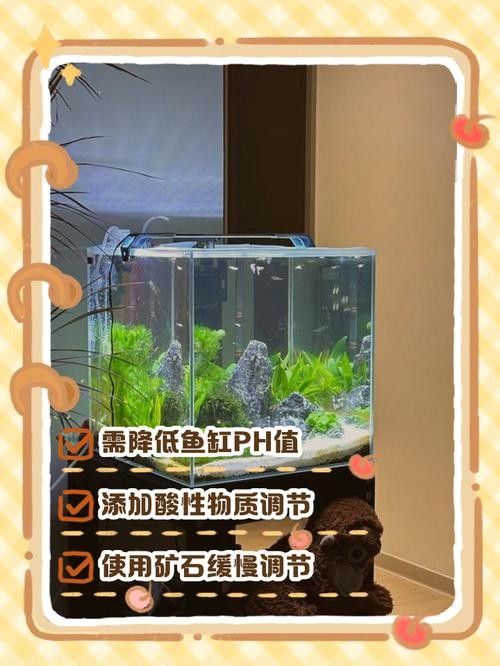 如何穩(wěn)定紅龍魚缸中的pH值 龍魚百科 第4張 如何穩(wěn)定紅龍魚缸中的pH值 如何穩(wěn)定紅龍魚缸中的pH值 龍魚百科 第4張
