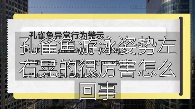 如何判斷孔雀龍魚(yú)是否吃飽？（判斷孔雀龍魚(yú)是否吃飽通常涉及以下幾個(gè)方面） 如何判斷孔雀龍魚(yú)是否吃飽？（判斷孔雀龍魚(yú)是否吃飽通常涉及以下幾個(gè)方面） 龍魚(yú)百科 第4張