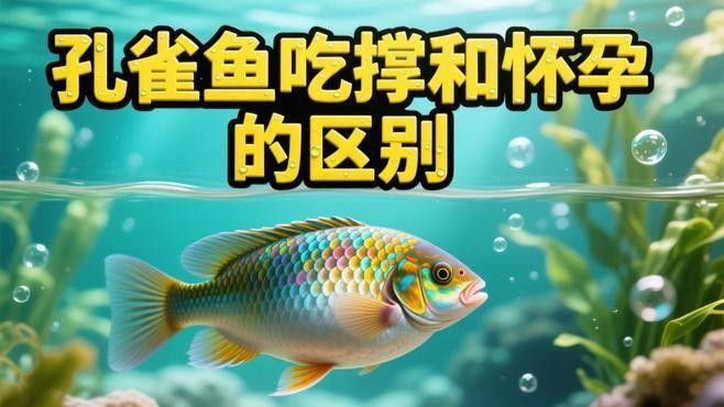 如何判斷孔雀龍魚(yú)是否吃飽？（判斷孔雀龍魚(yú)是否吃飽通常涉及以下幾個(gè)方面） 如何判斷孔雀龍魚(yú)是否吃飽？（判斷孔雀龍魚(yú)是否吃飽通常涉及以下幾個(gè)方面） 龍魚(yú)百科 第1張