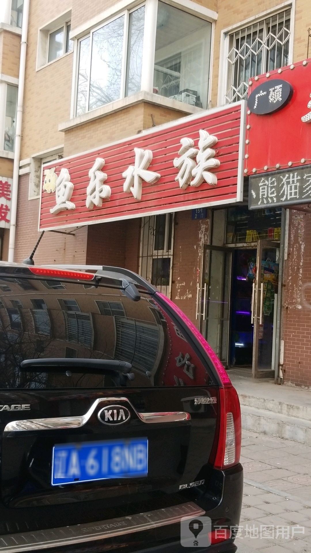 沈陽哪個水族館龍魚好？祥龍魚場龍魚