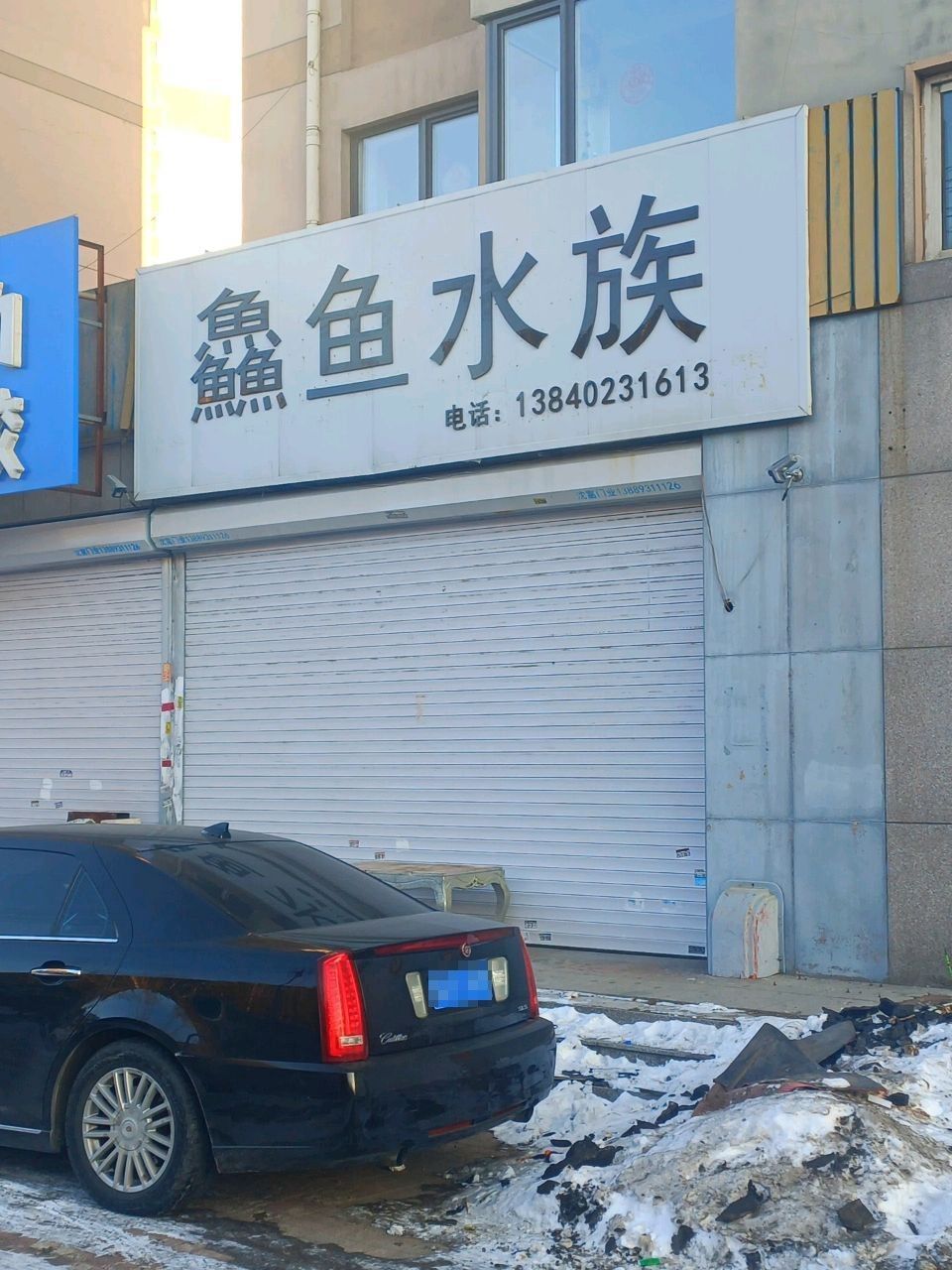 沈陽哪個水族館龍魚好？祥龍魚場龍魚