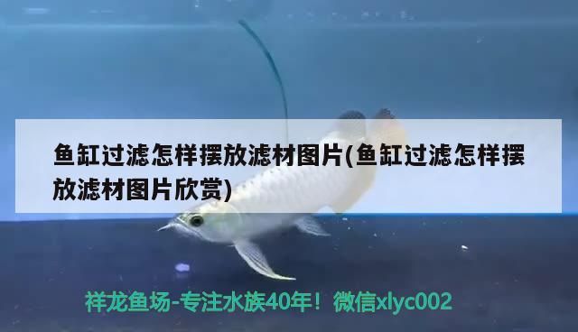 撫州魚缸定制店地址查詢大全的簡單介紹（各類魚缸定制店地址查詢大全）