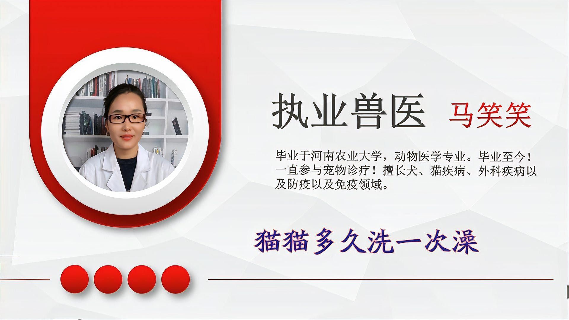 貓多久洗一次澡合適