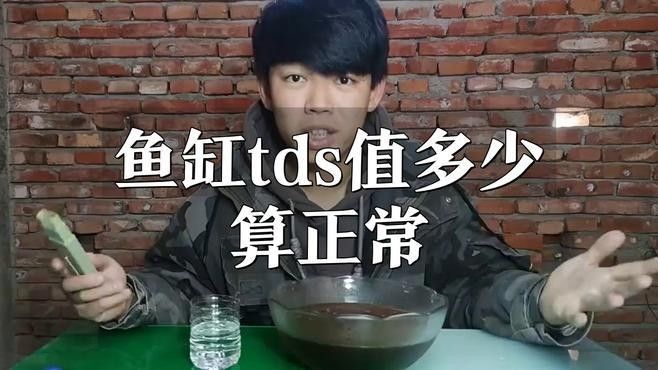 魚缸水質TDS值多少合適？