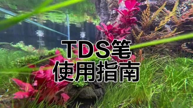 魚缸水質TDS值多少合適？