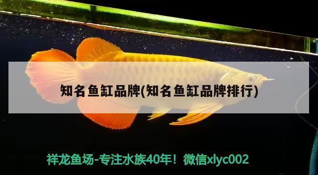 詳細閱讀:知名魚缸品牌(知名魚缸品牌排行) 知名魚缸品牌(知名魚缸品牌排行)