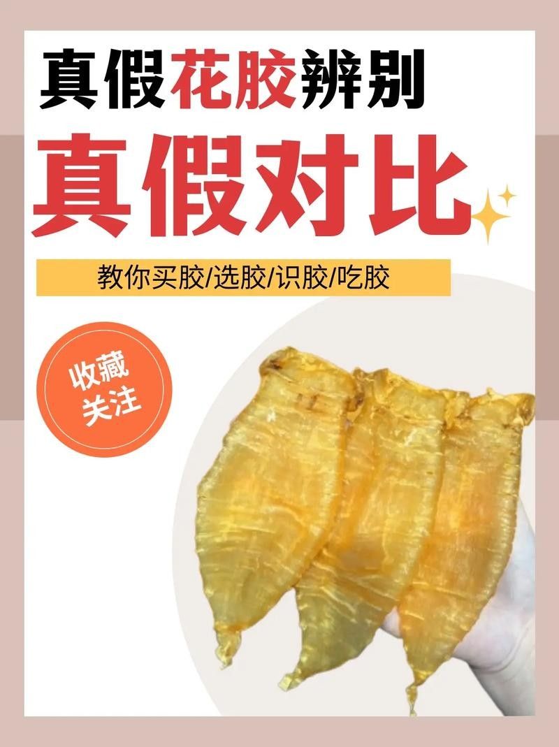 如何辨別真假小金龍魚膠