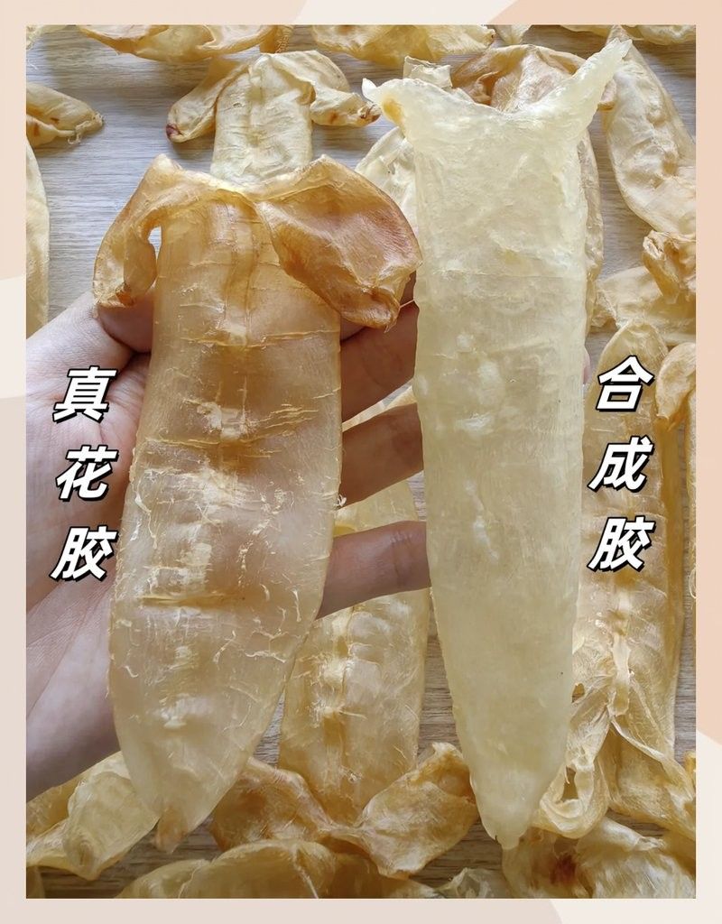 如何辨別真假小金龍魚膠