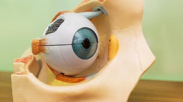 龍魚吊眼手術的風險有多大？（龍魚吊眼手術的風險）