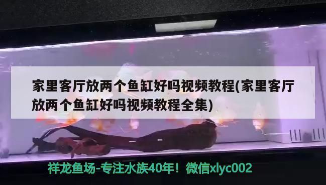 鸚鵡魚和銀龍魚混養怎樣喂食 家里客廳放兩個魚缸好嗎視頻教程(家里客廳放兩個魚缸好嗎視頻教程全集) 觀賞魚百科 家里客廳放兩個魚缸好嗎視頻教程(家里客廳放兩個魚缸好嗎視頻教程全集) 家里客廳放兩個魚缸好嗎視頻教程(家里客廳放兩個魚缸好嗎視頻教程全集) 觀賞魚百科