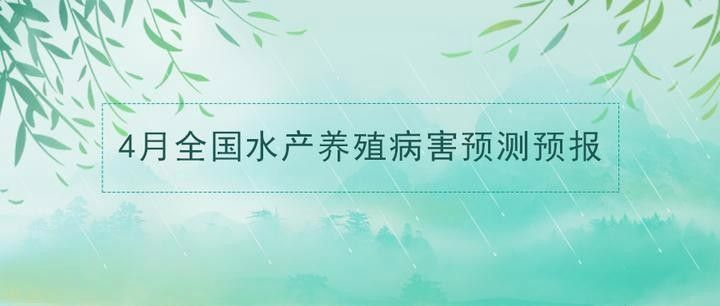 六角龍魚腿爛了會傳染嗎？