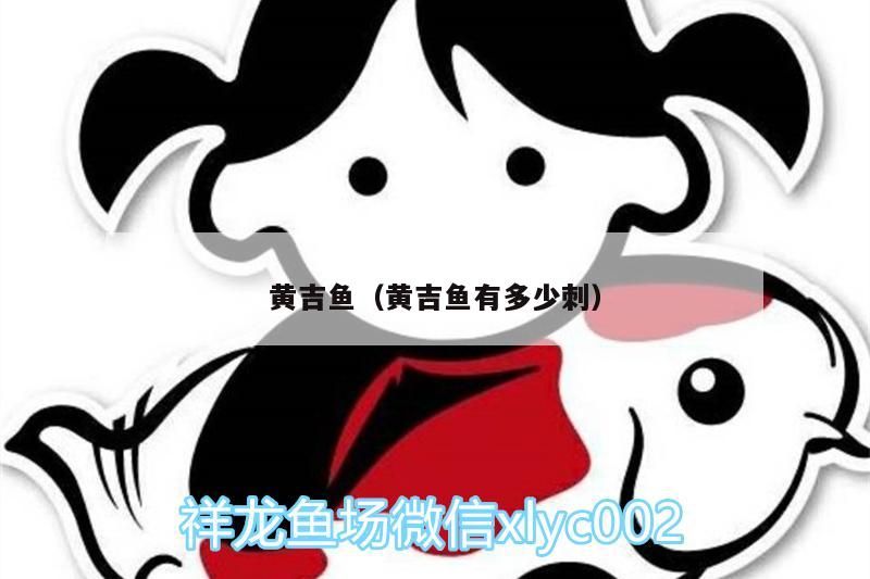 黃吉魚（黃吉魚有多少刺）