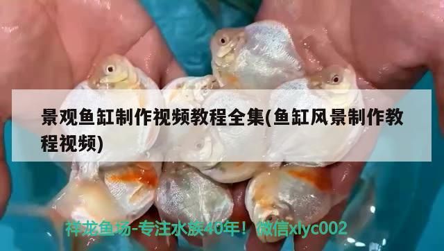 景觀魚缸制作視頻教程全集(魚缸風(fēng)景制作教程視頻)