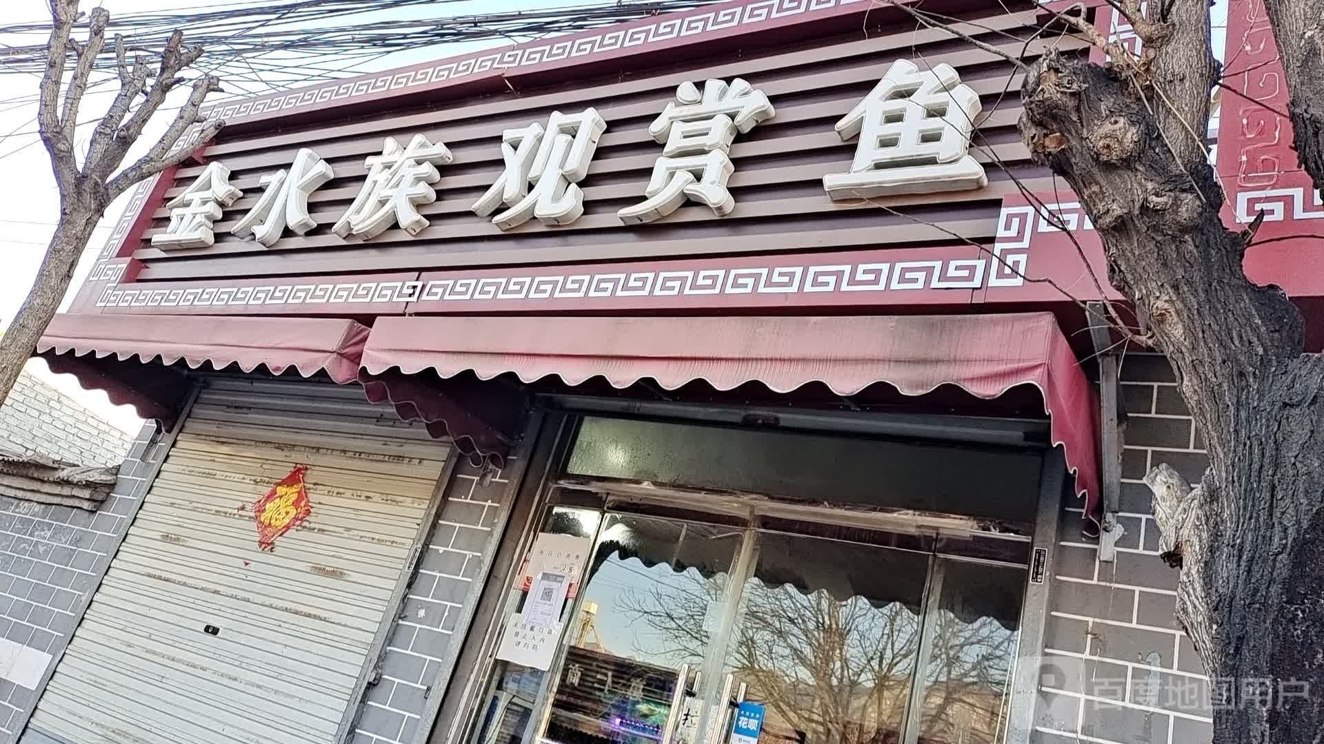 潼關(guān)哪個水族館龍魚好？祥龍魚場龍魚
