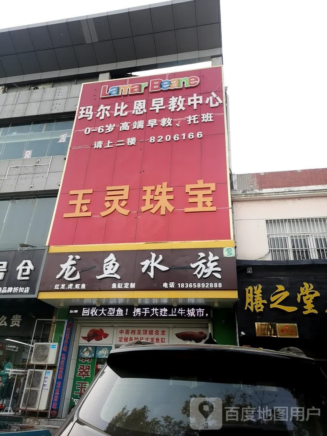 東昌府區龍魚水族店地址在哪里（東昌府區哪家龍魚水族店口碑最好？）