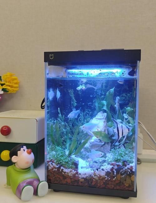 如何選擇適合黑底透光的魚缸（適合黑底透光的魚缸需要考慮幾個關鍵因素以確保獲得最佳效果）