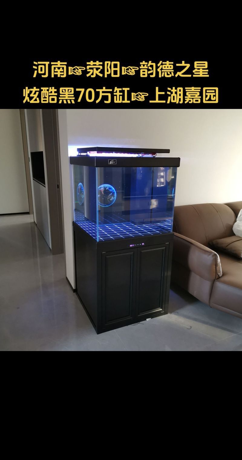 如何選擇適合黑底透光的魚缸（適合黑底透光的魚缸需要考慮幾個(gè)關(guān)鍵因素以確保獲得最佳效果）