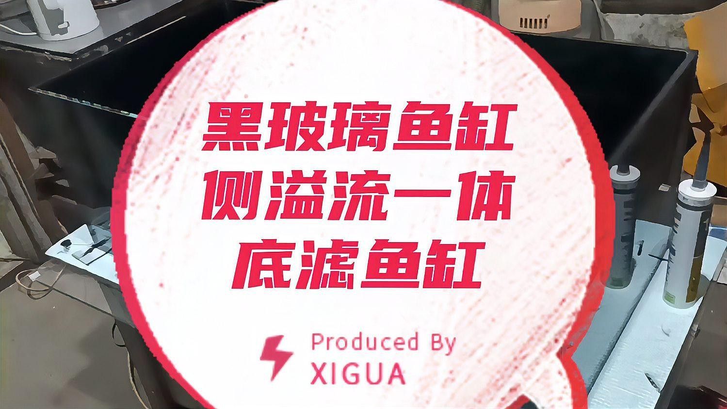 如何選擇適合黑底透光的魚缸（適合黑底透光的魚缸需要考慮幾個(gè)關(guān)鍵因素以確保獲得最佳效果）