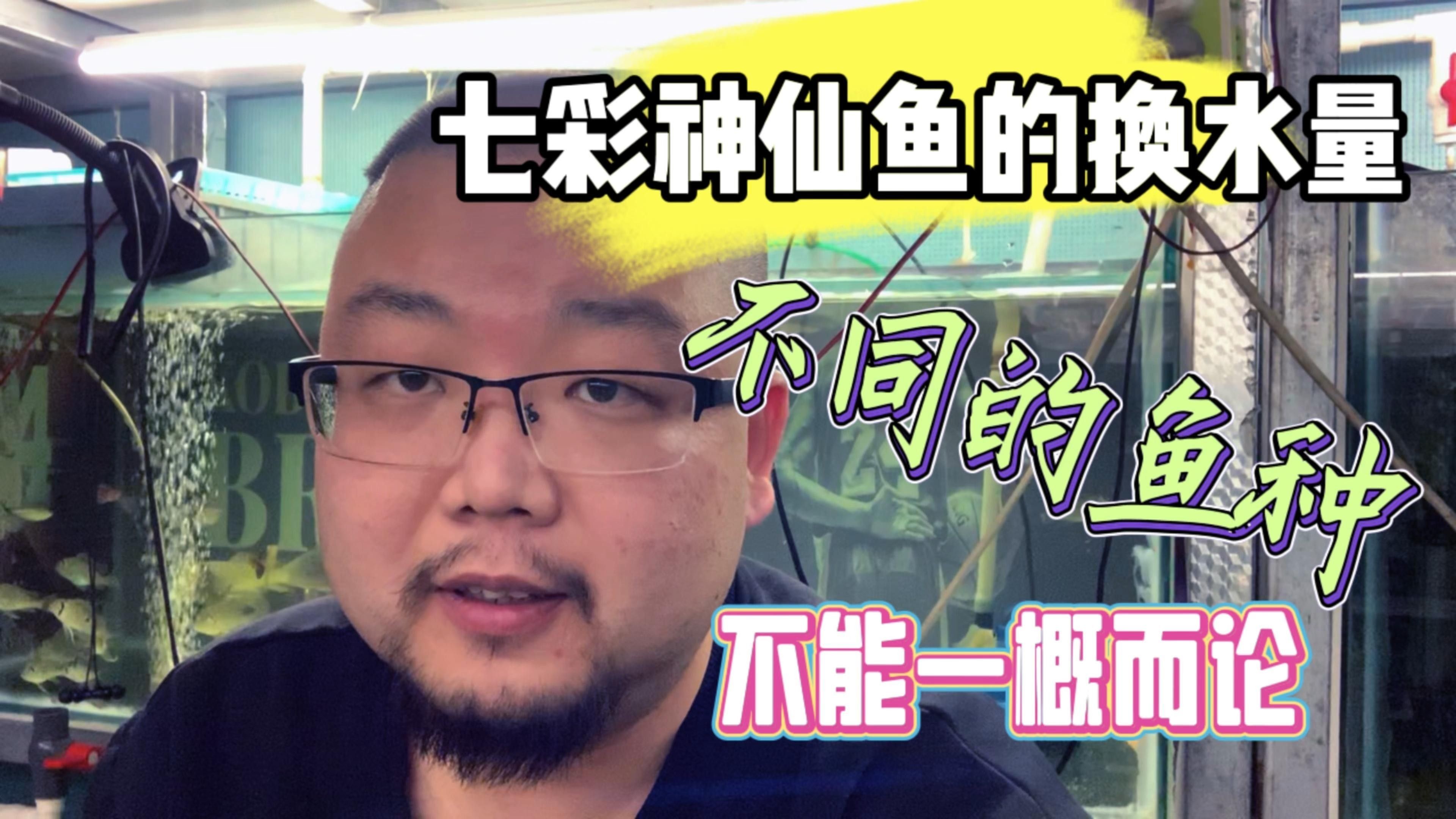 神仙魚和龍魚多久換一次水？（養魚水多久換一次合適）