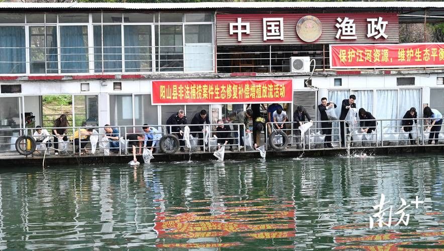 山陽哪個水族館龍魚好？祥龍魚場龍魚（山陽祥龍魚場）