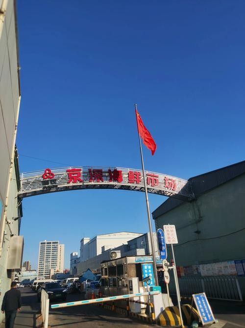 哪里可以買到新鮮的鱘龍魚 哪里可以買到新鮮的鱘龍魚 龍魚百科 第1張