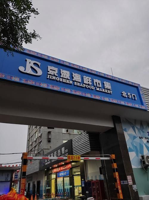 哪里可以買到新鮮的鱘龍魚 哪里可以買到新鮮的鱘龍魚 龍魚百科 第3張