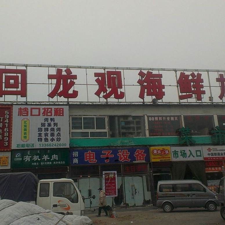 哪里可以買到新鮮的鱘龍魚 哪里可以買到新鮮的鱘龍魚 龍魚百科 第11張