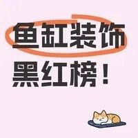 如何判斷龍魚缸裝飾物是否安全（判斷龍魚缸裝飾物的安全性是確保魚類健康和安全的關鍵因素）