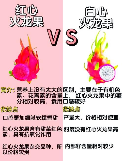 如何判斷火龍果是否新鮮？
