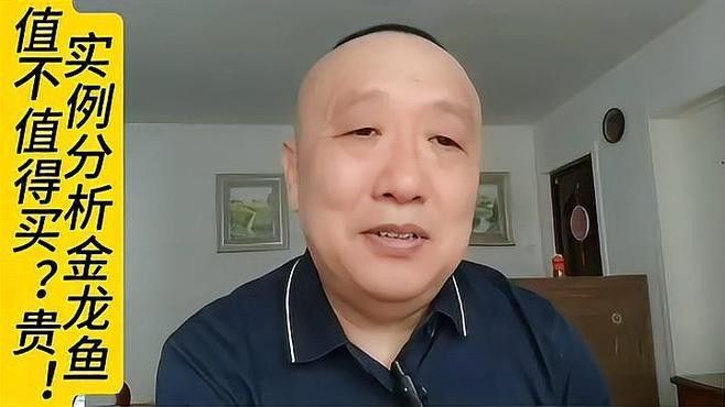金龍魚股票的技術面分析（金龍魚股票技術面分析）