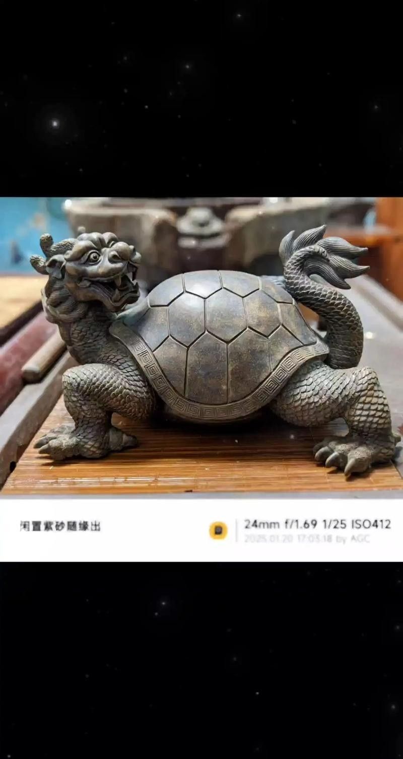 龍龜圖片有哪些材質選擇（藏玉直播×最牛“龜王”）