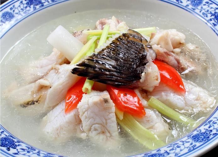 廈門龍魚養殖基地哪家最好