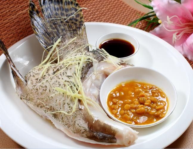 廈門龍魚養殖基地哪家最好