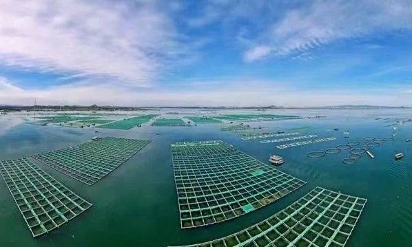 廈門龍魚養殖基地哪家最好