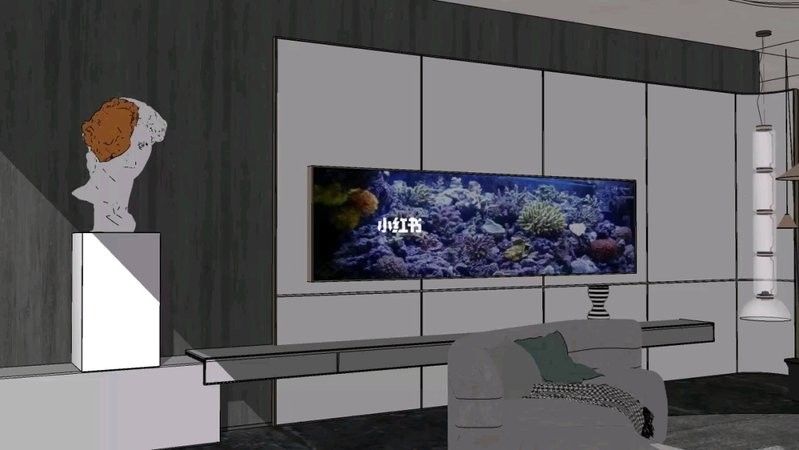 許昌哪個水族館龍魚好？祥龍魚場龍魚（河南省許昌市祥龍魚場） 許昌哪個水族館龍魚好？祥龍魚場龍魚（河南省許昌市祥龍魚場） 龍魚百科 第10張